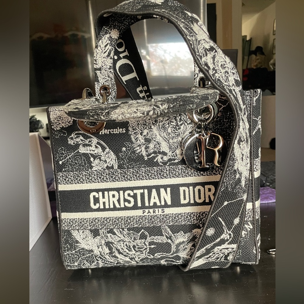 Christian Dior Lady D-Lite Bag Embroidered Canvas Medium Print zodiac astrology - Picture 9 of 16